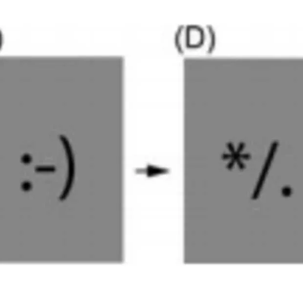onze hersenen leren smileys als gezichte