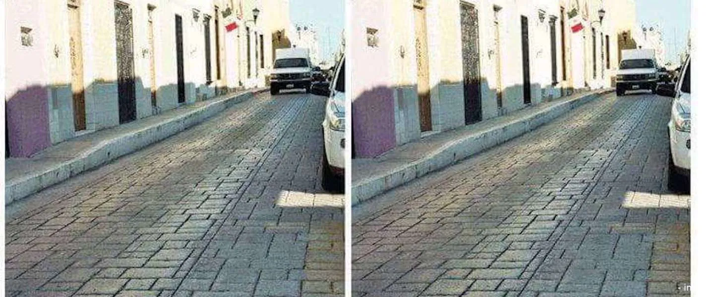 optische illusie viral