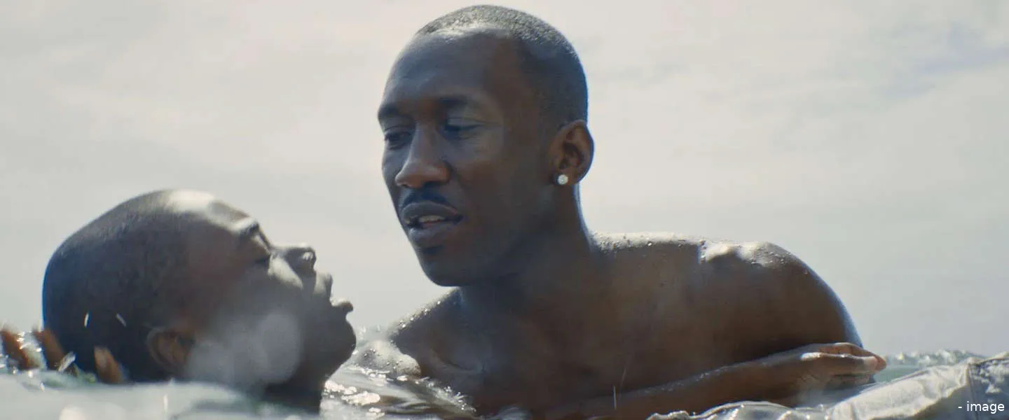 oscars 2017 chaos kleur