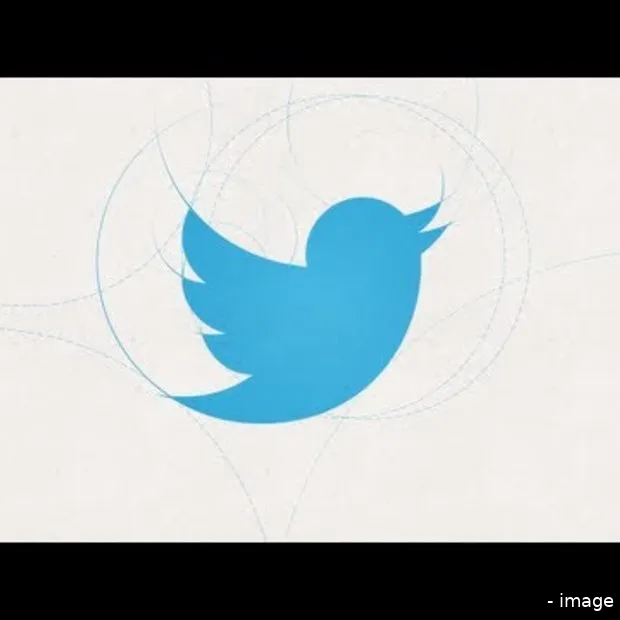 our new twitter bird
