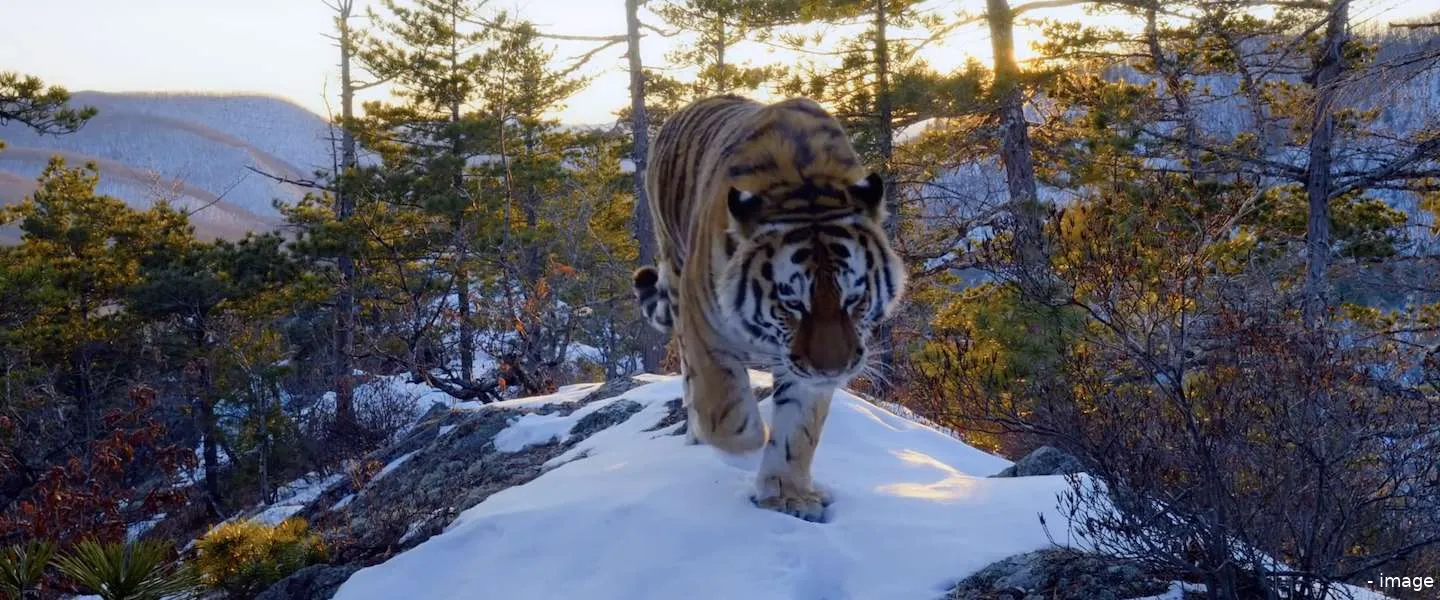 our planet netflix 5 april