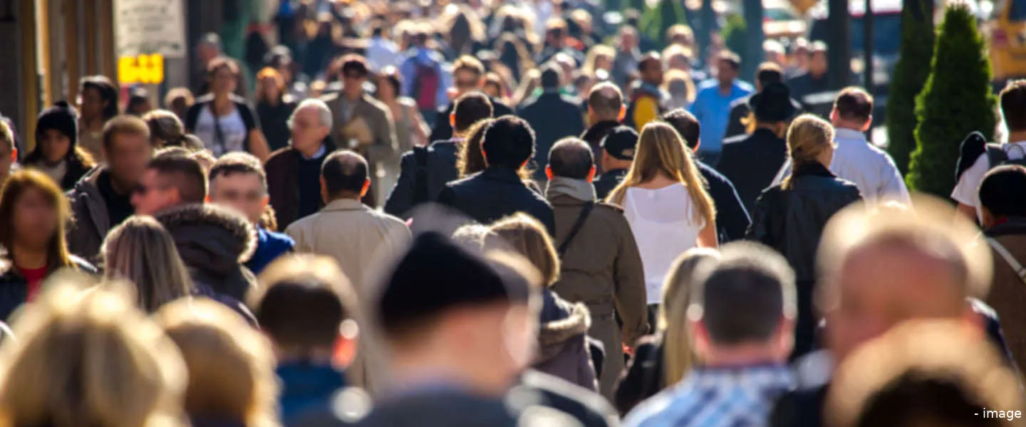 overheid gebruik the crowd