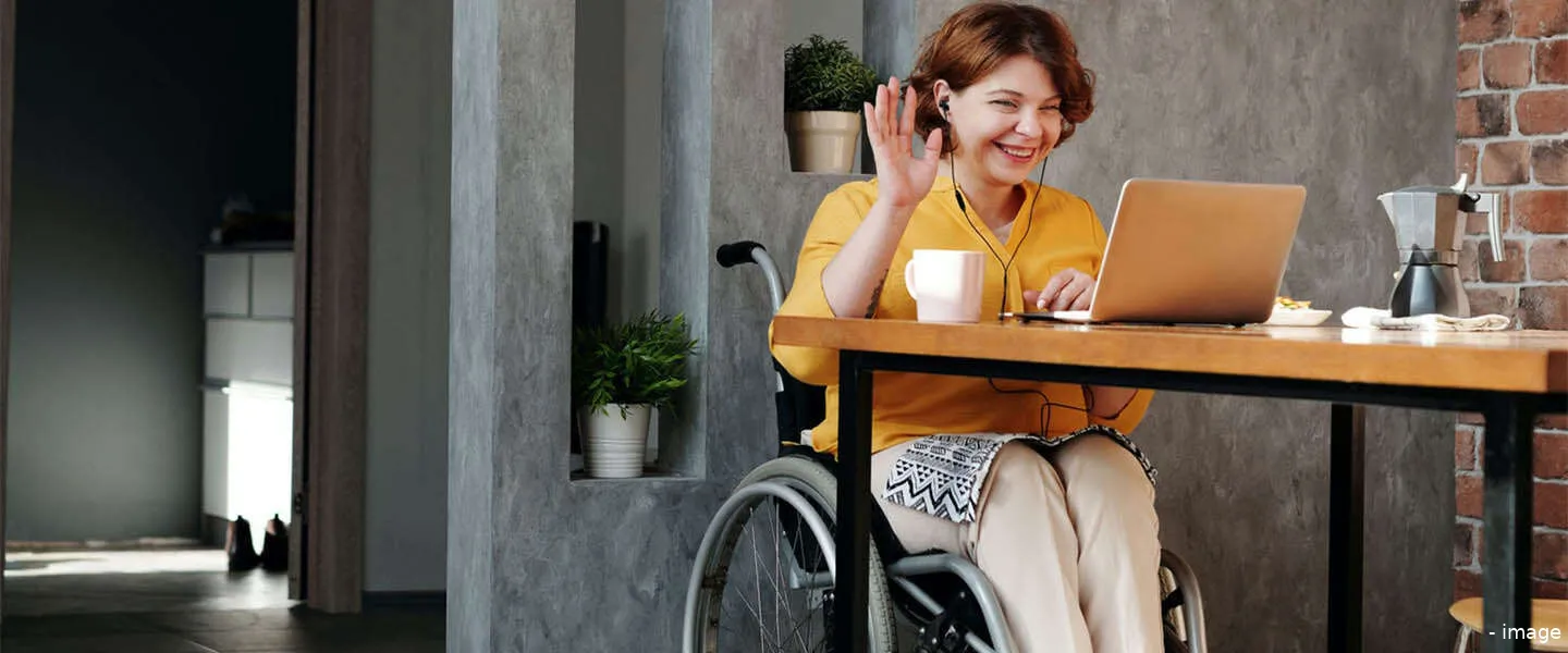 overheid niet digitaal toegankelijk