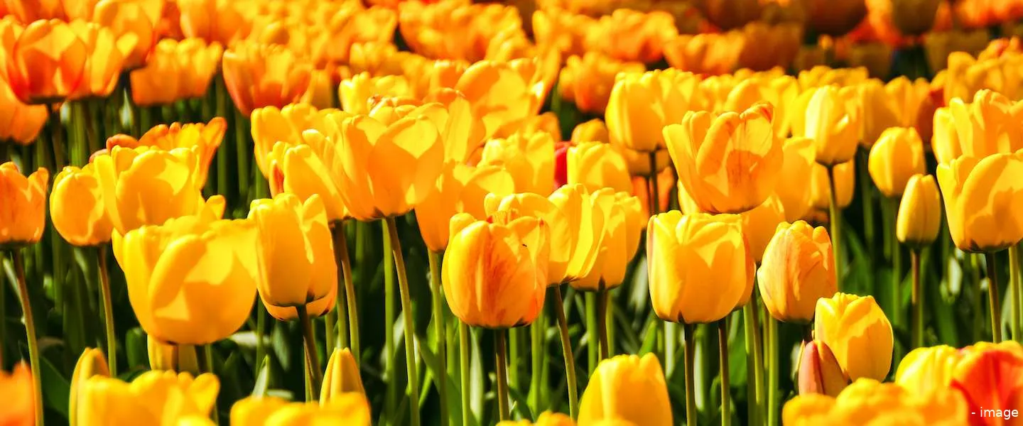 pasen weersverwachting