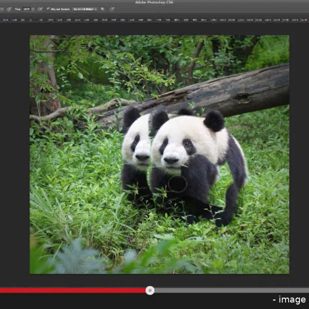 photoshop tutorials van het wereld natuu