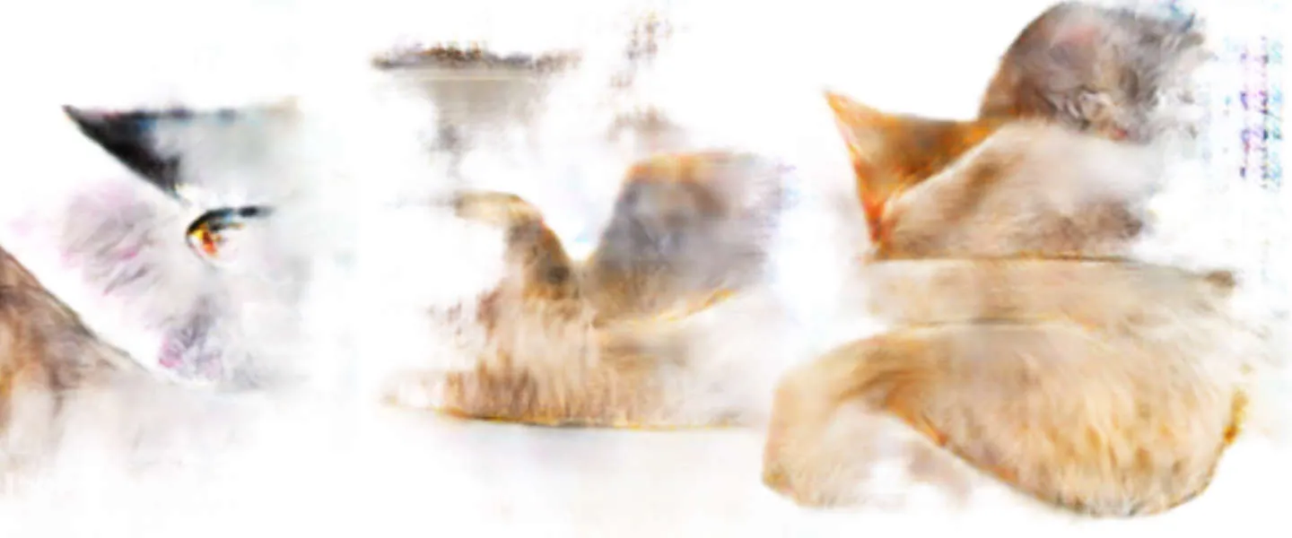 pix 2 pix demo katten