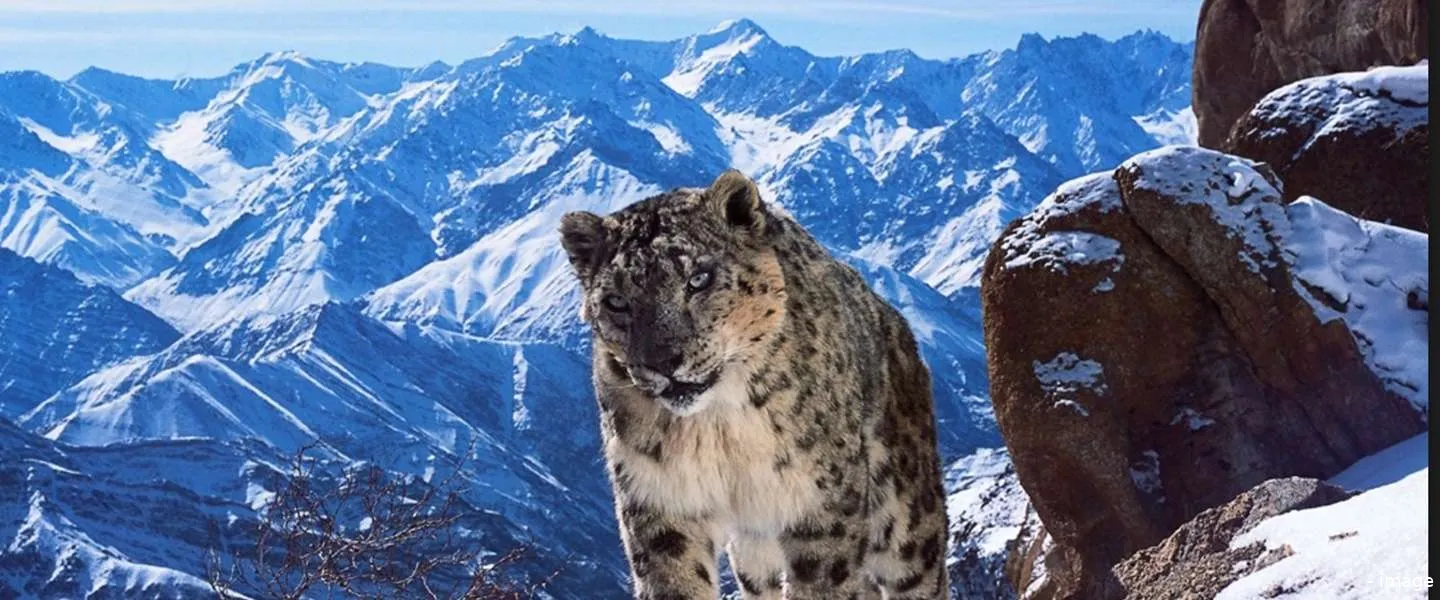 planet earth ii trailer