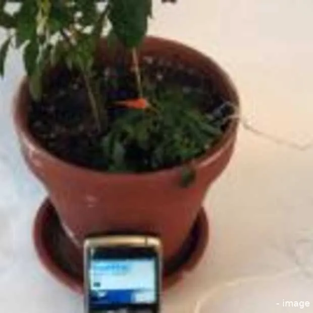 plant water geven via botanicalls twitte