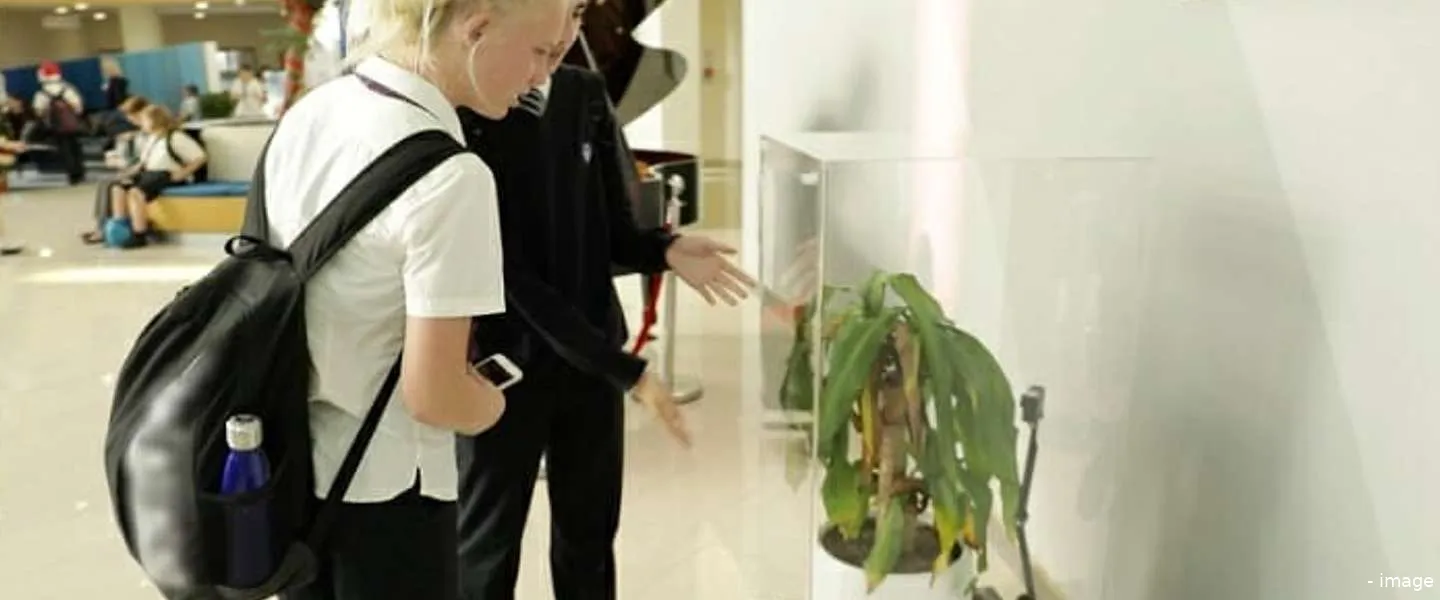 planten pest experiment ikea