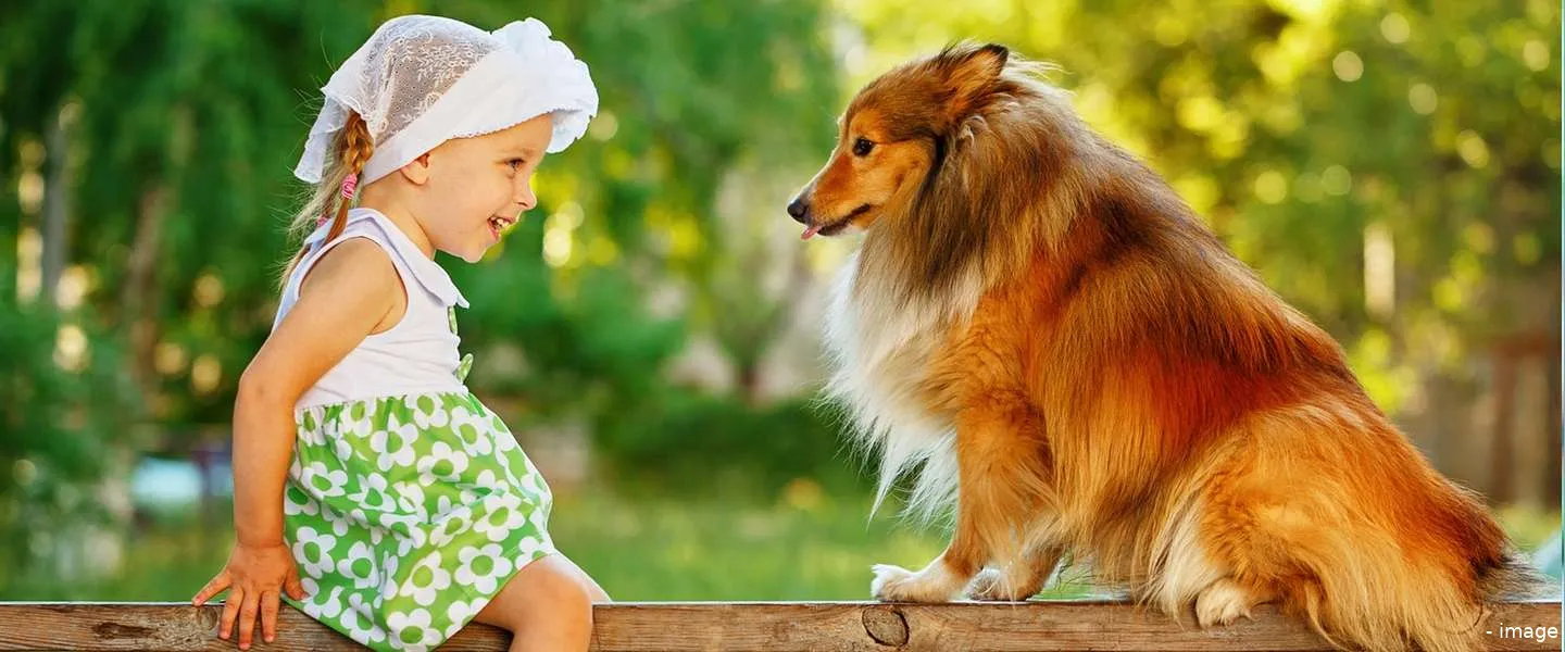 praten met je huisdier mogelijk