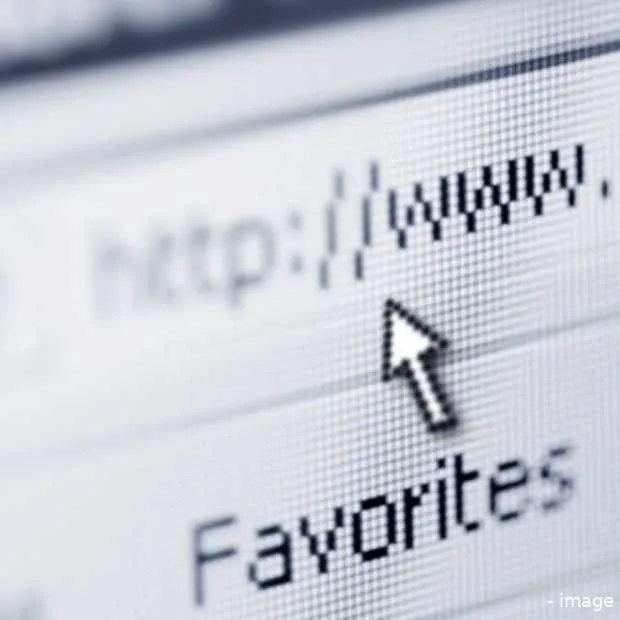 privegegevens surfgedrag door nederlande