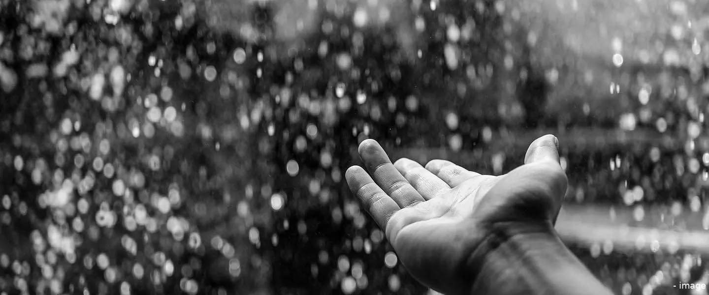 regen nederland spotify