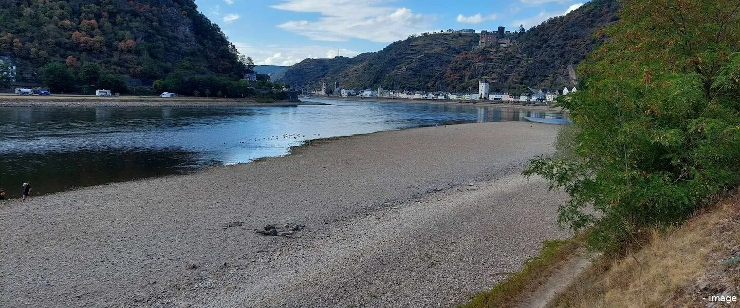 rijn waterstand header