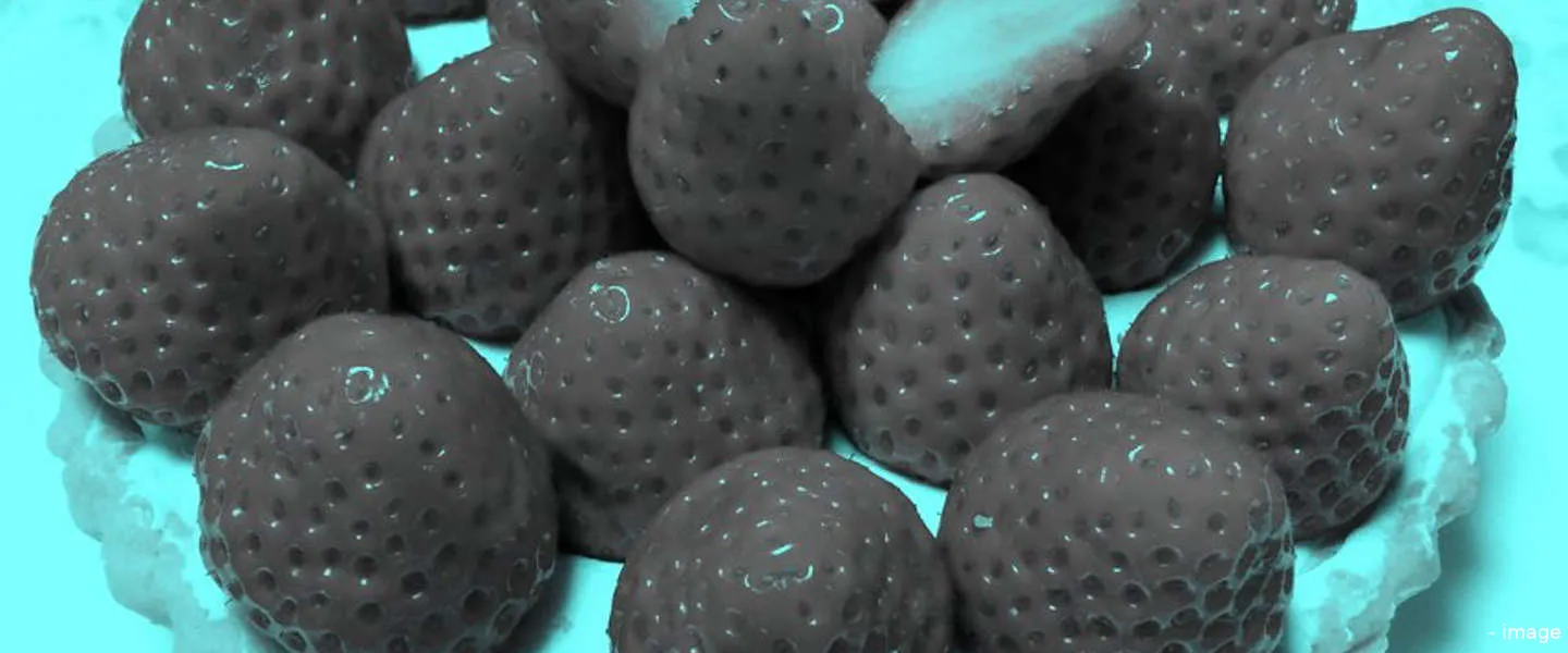 rode aardbeien illusie