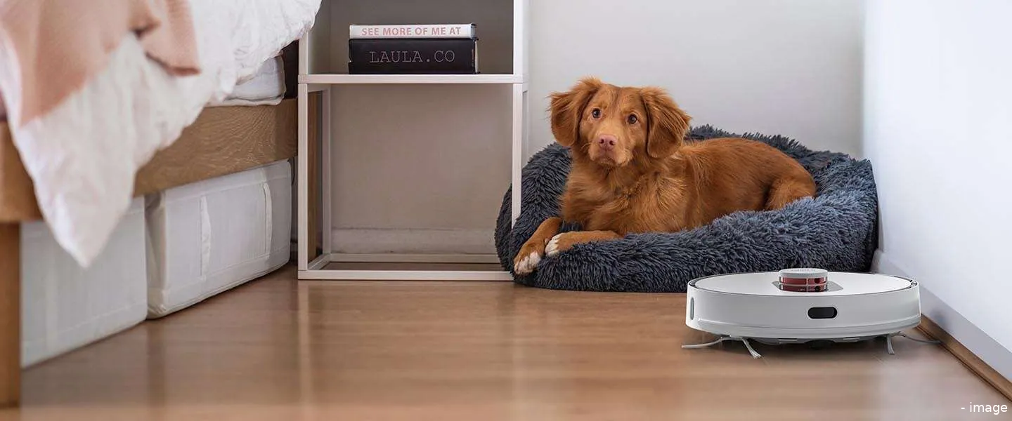 roidmi nu verkrijgbaar