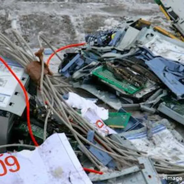 ruud de wild delete 2009 met grof geschu