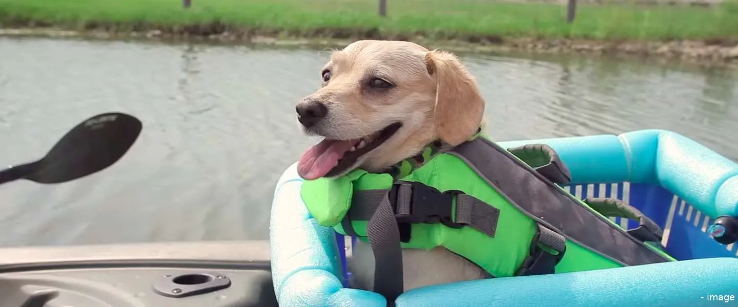 sadvertising kleenex