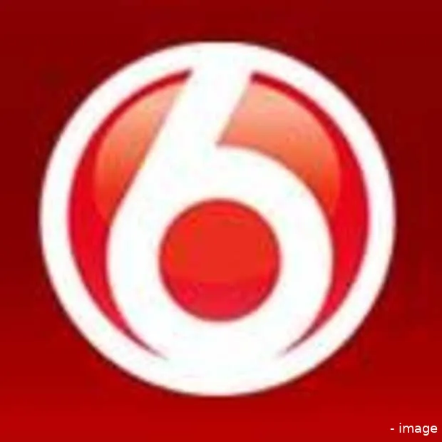 sbs introduceert downloadplatform