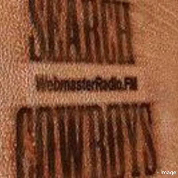 searchcowboys start podcast op webmaster