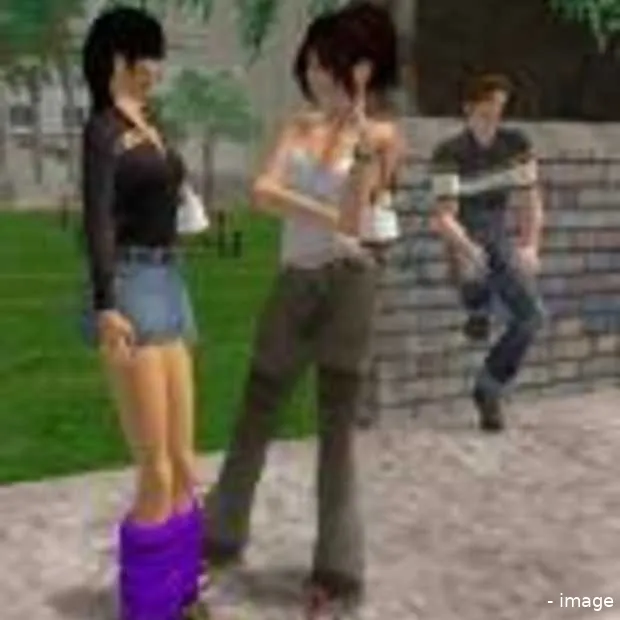 second life documentaire op internet