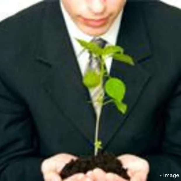 seminar succesvol groeien als internetst