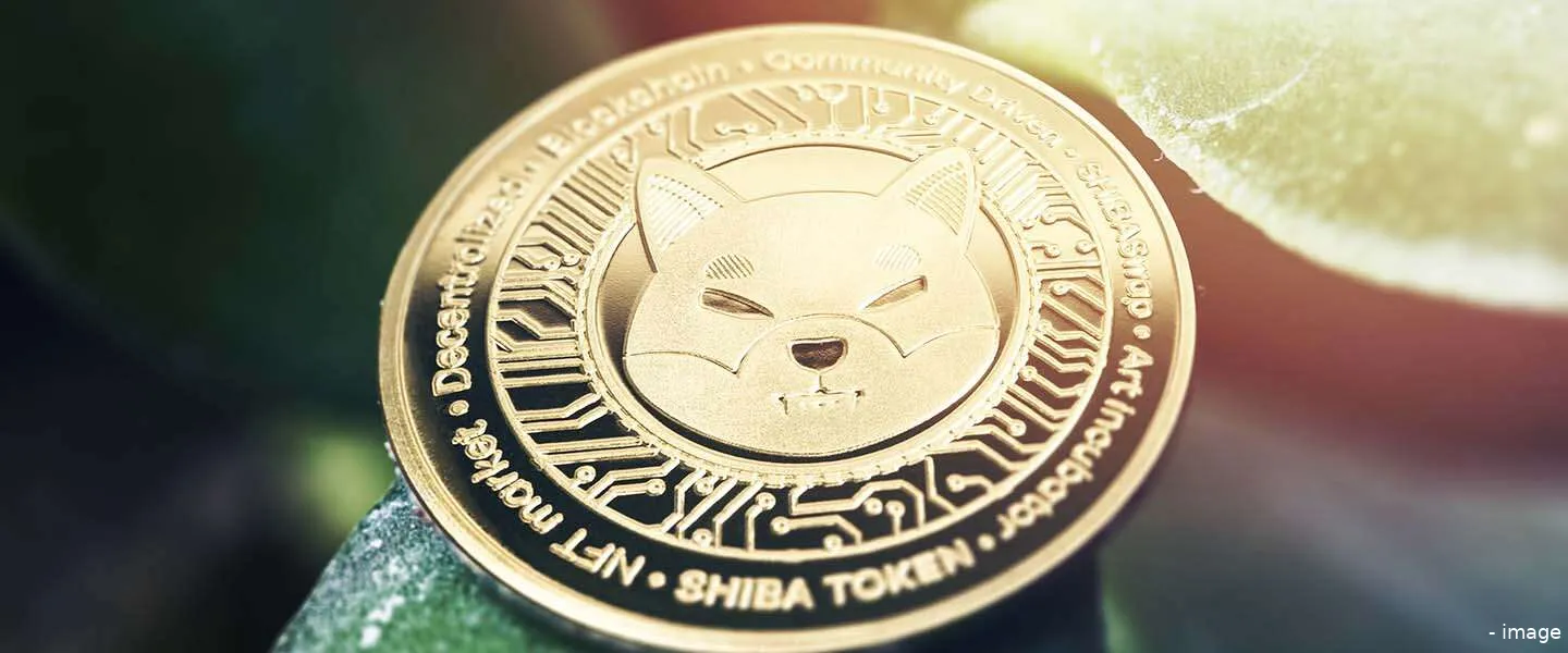 Wat is Shiba Inu? Spoiler: we bedoelen niet de hond