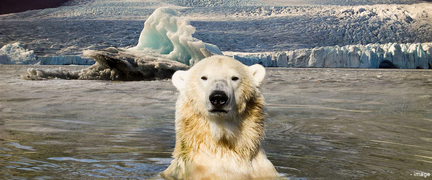 siberische kou nederland