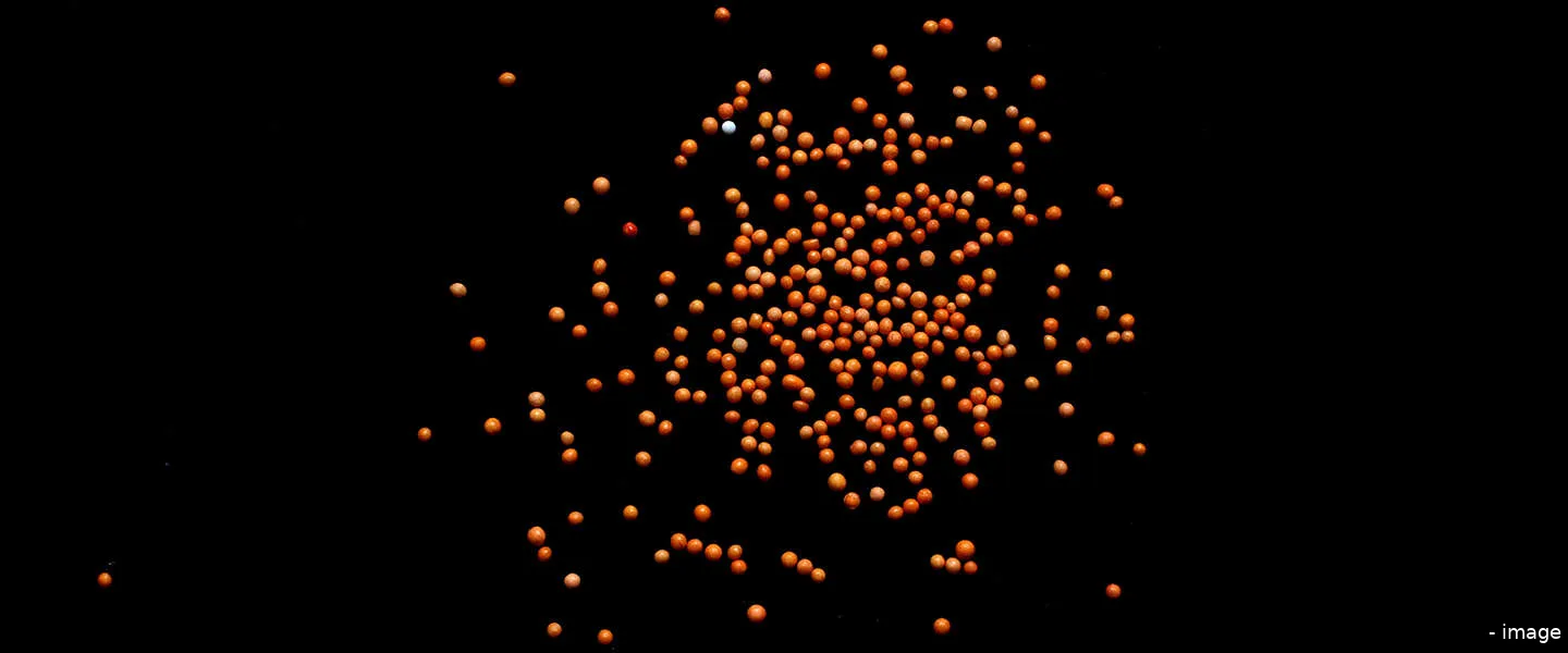 single cell discoveries