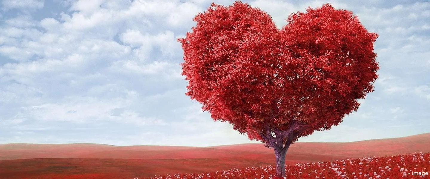 sire campagne huftergedrag