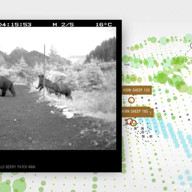 site of the year bij the fwa bewijst dat