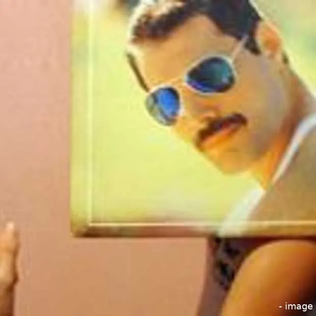 sleevefaces doe lollig met een platenhoe