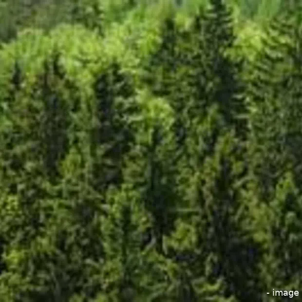 slimme ict spaart milieu