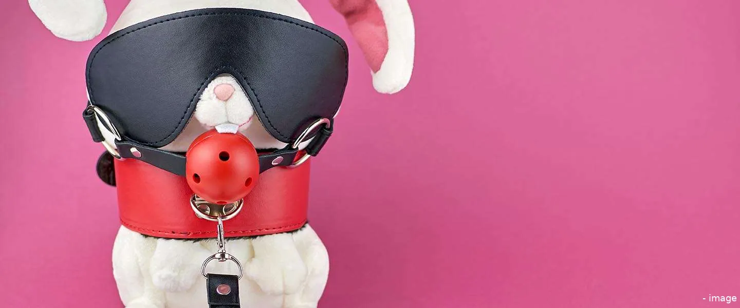 slimme seksspeeltjes eset