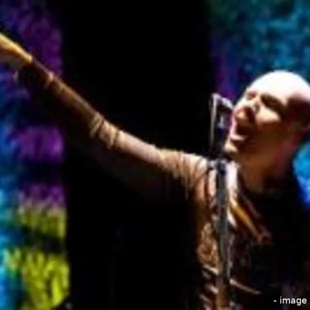 smashing pumpkins lanceren subscription