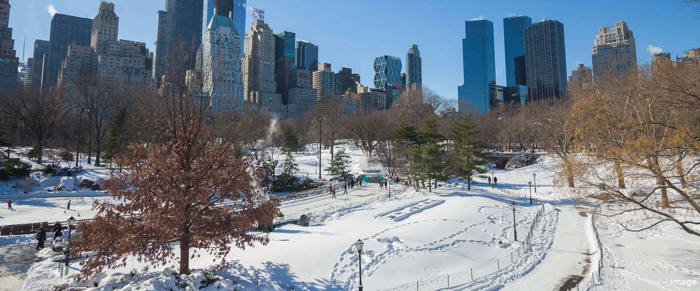 sneeuw centralpark ny