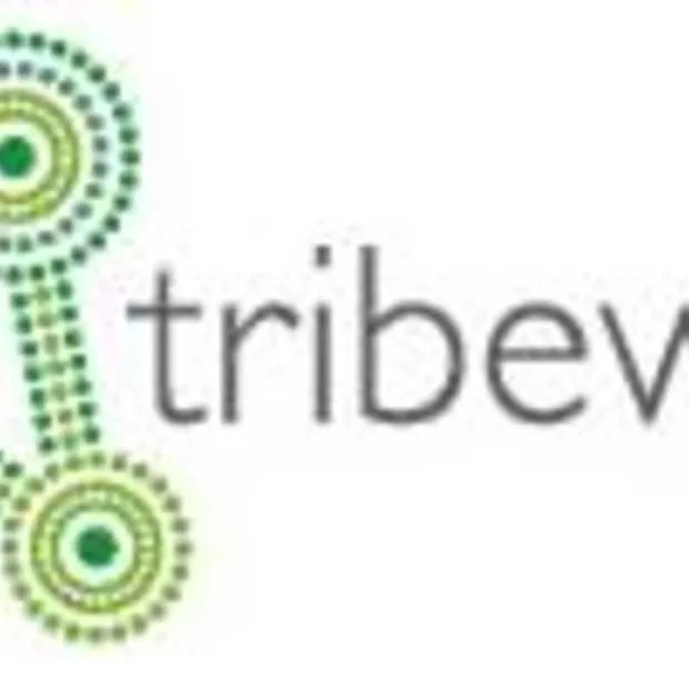 social media bureau van rhinofly