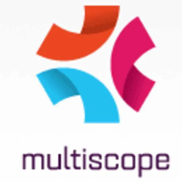 social media in nederland 2013