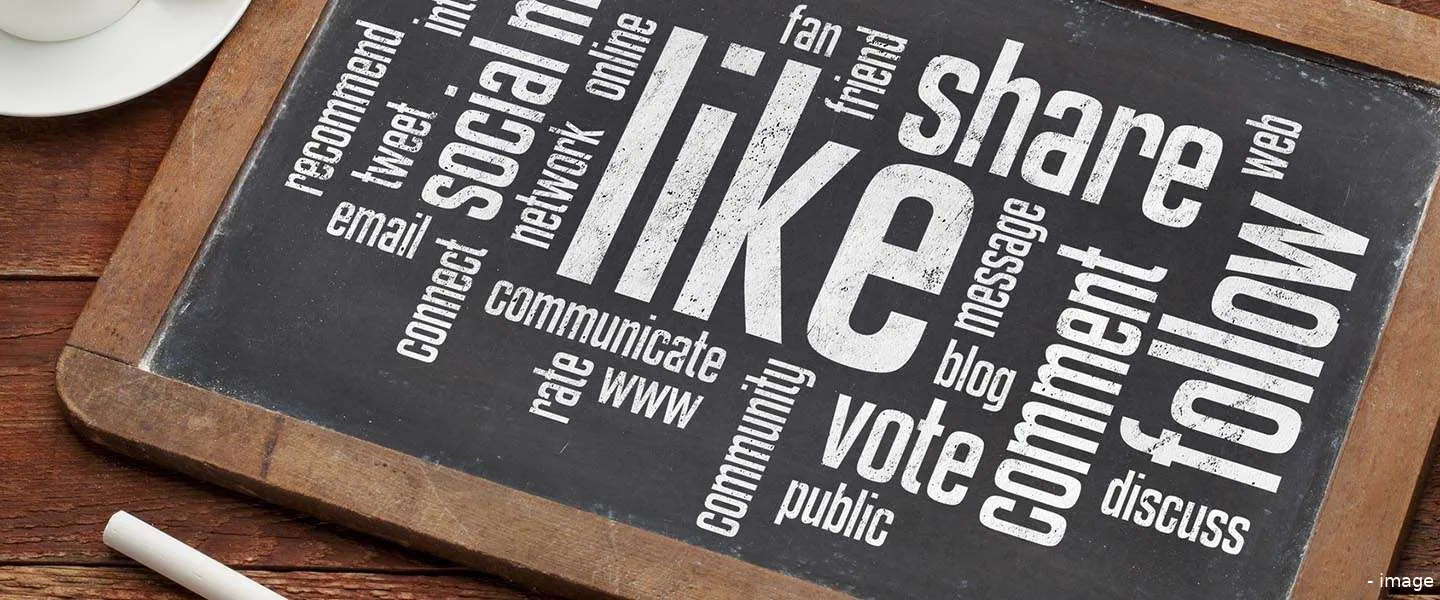 socialmedia onderzoek dutchcowboys 1