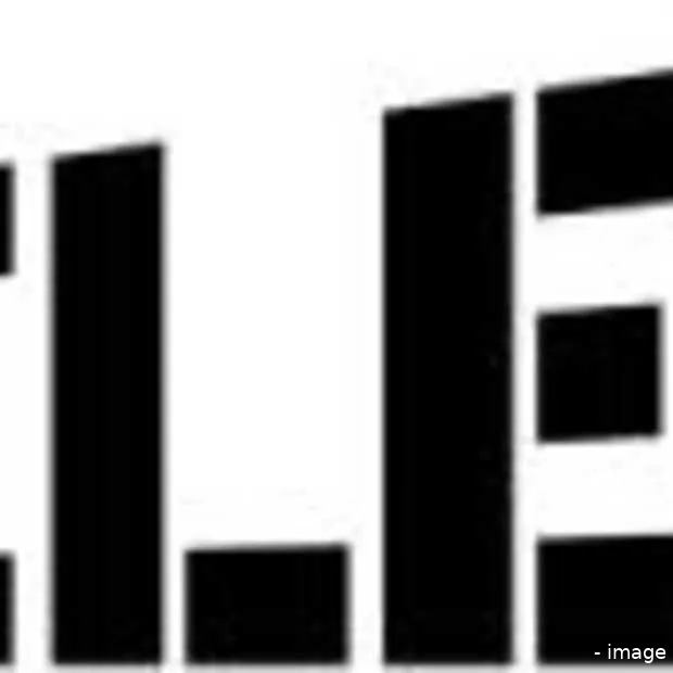 sollicitatiegesprek wordt gezien als fli