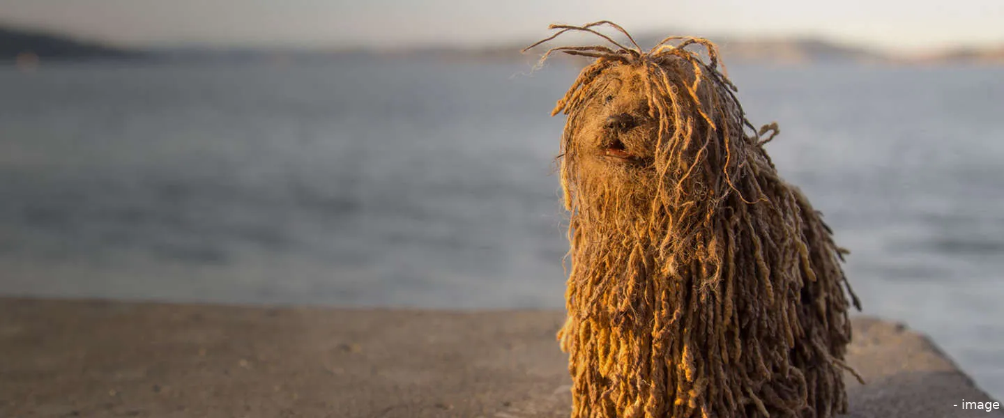 soshees robothond kickstarter