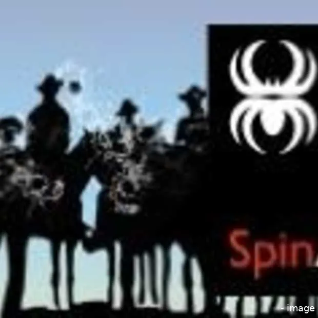 spinawards adverteren in online video is