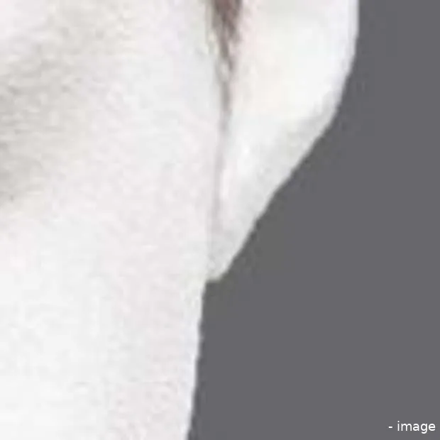 spinawards inspiration days