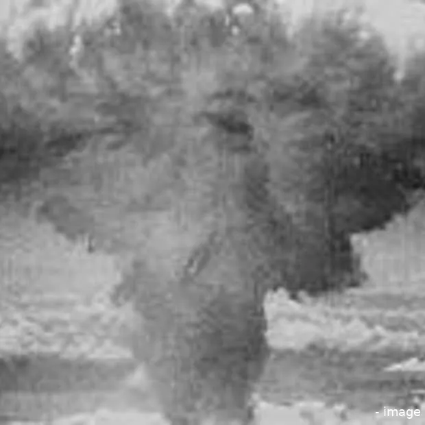 staan de financiele problemen bij lost b