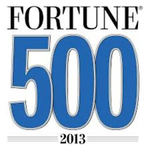 steeds meer grote bedrijven actief op so