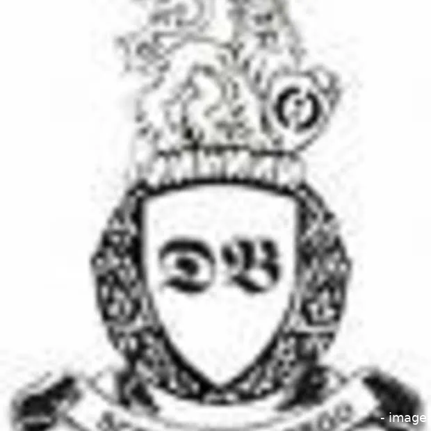 stem op dutch bloggies