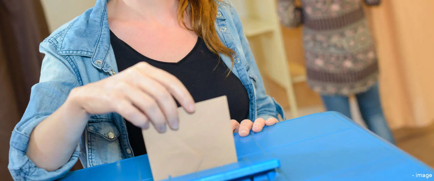 stemmen video uitleg