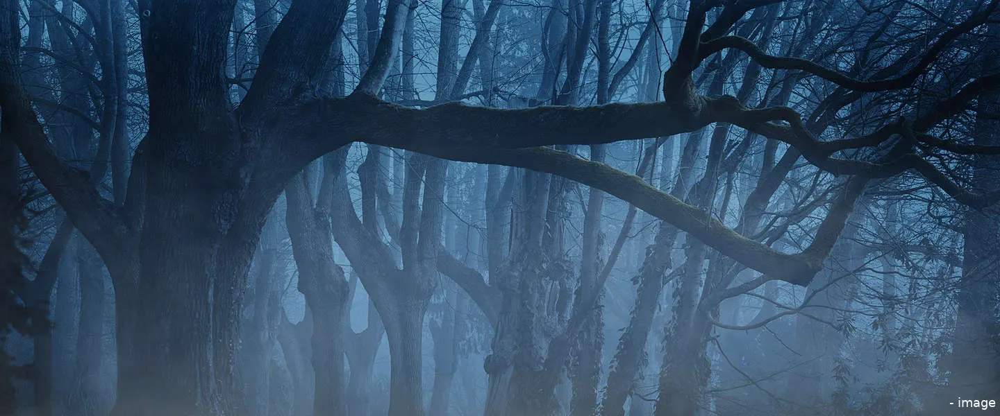 stephen king verfilmingen