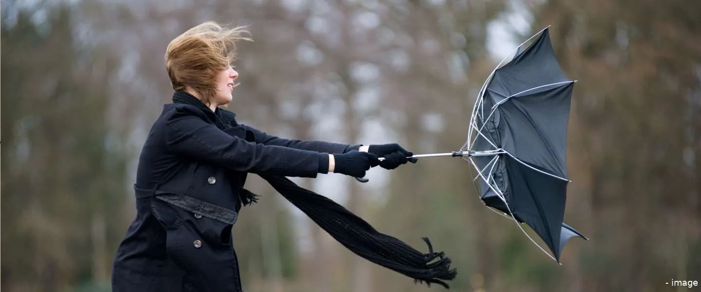 storm nederland social