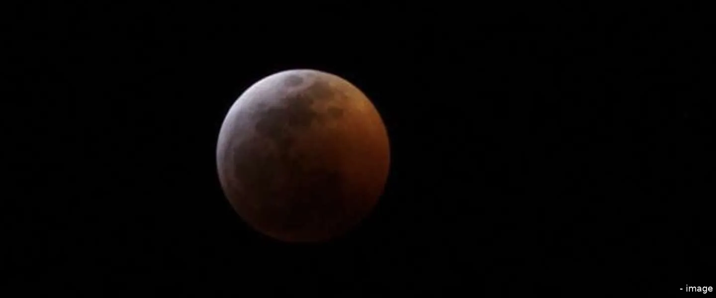 superwolfbloedmaan nederland