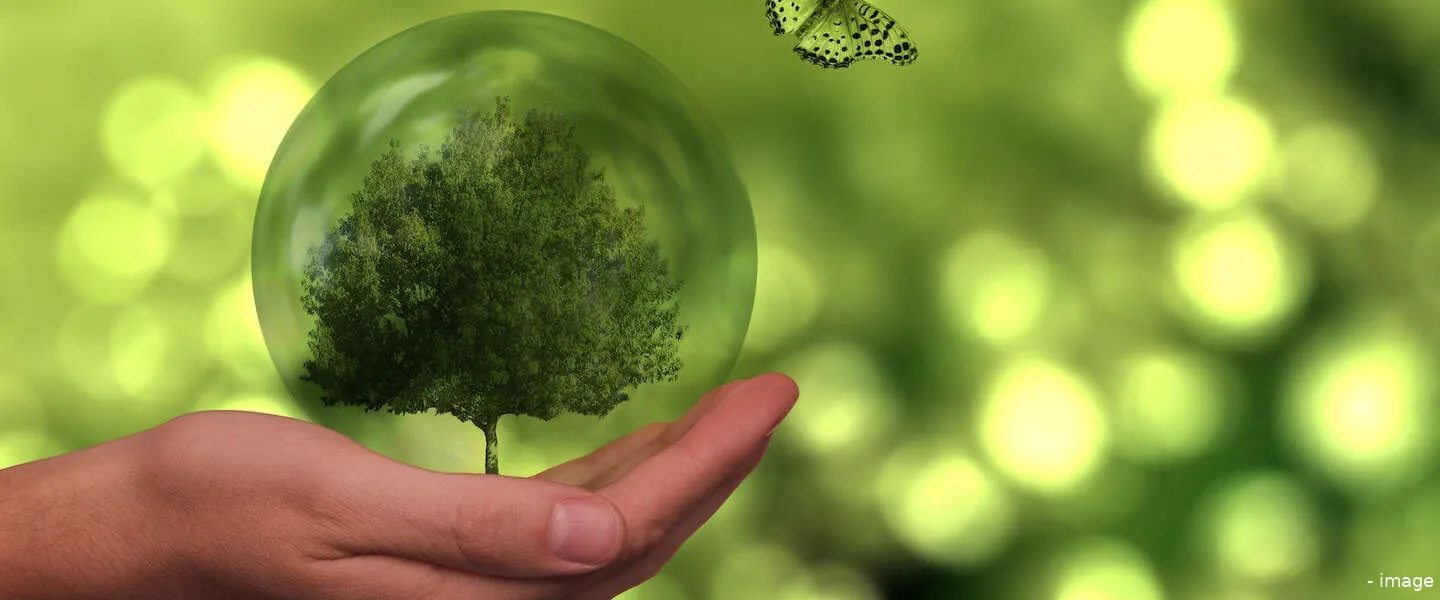 sustainable brand index tony chocolonely